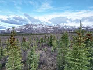 /images/aerial/Denali Park_Denali-Alaska.jpg